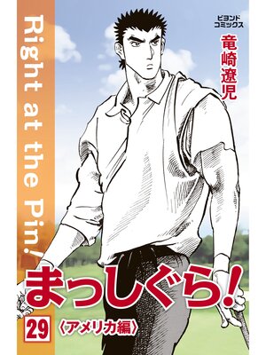 cover image of まっしぐら!: 29